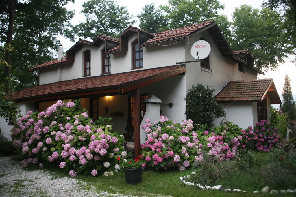 Beta Home Sapanca Cameră foto