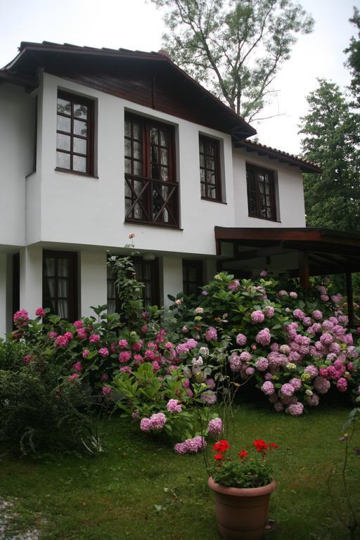 Beta Home Sapanca Cameră foto